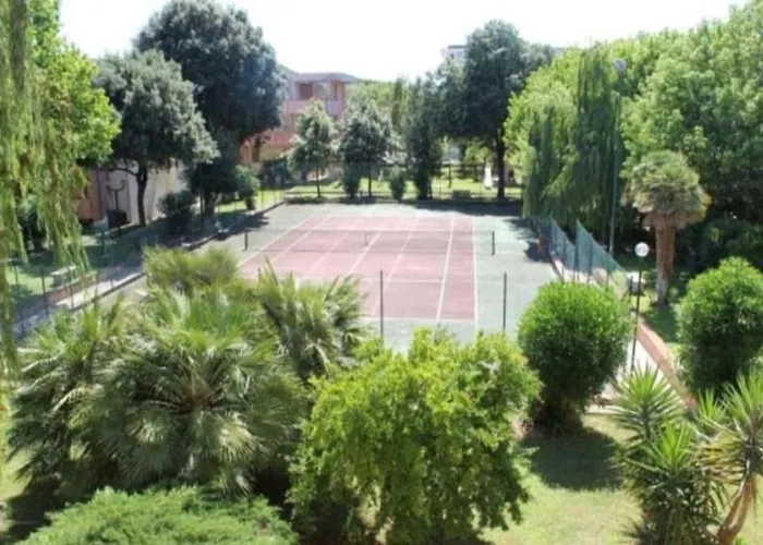 Palmahouse * Αλγκέρο